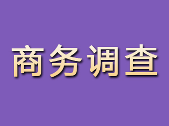 驻马店商务调查